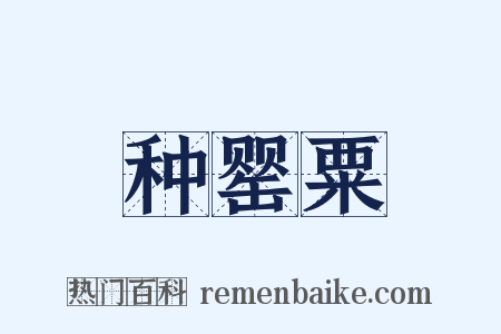种罂粟是什么意思的图片